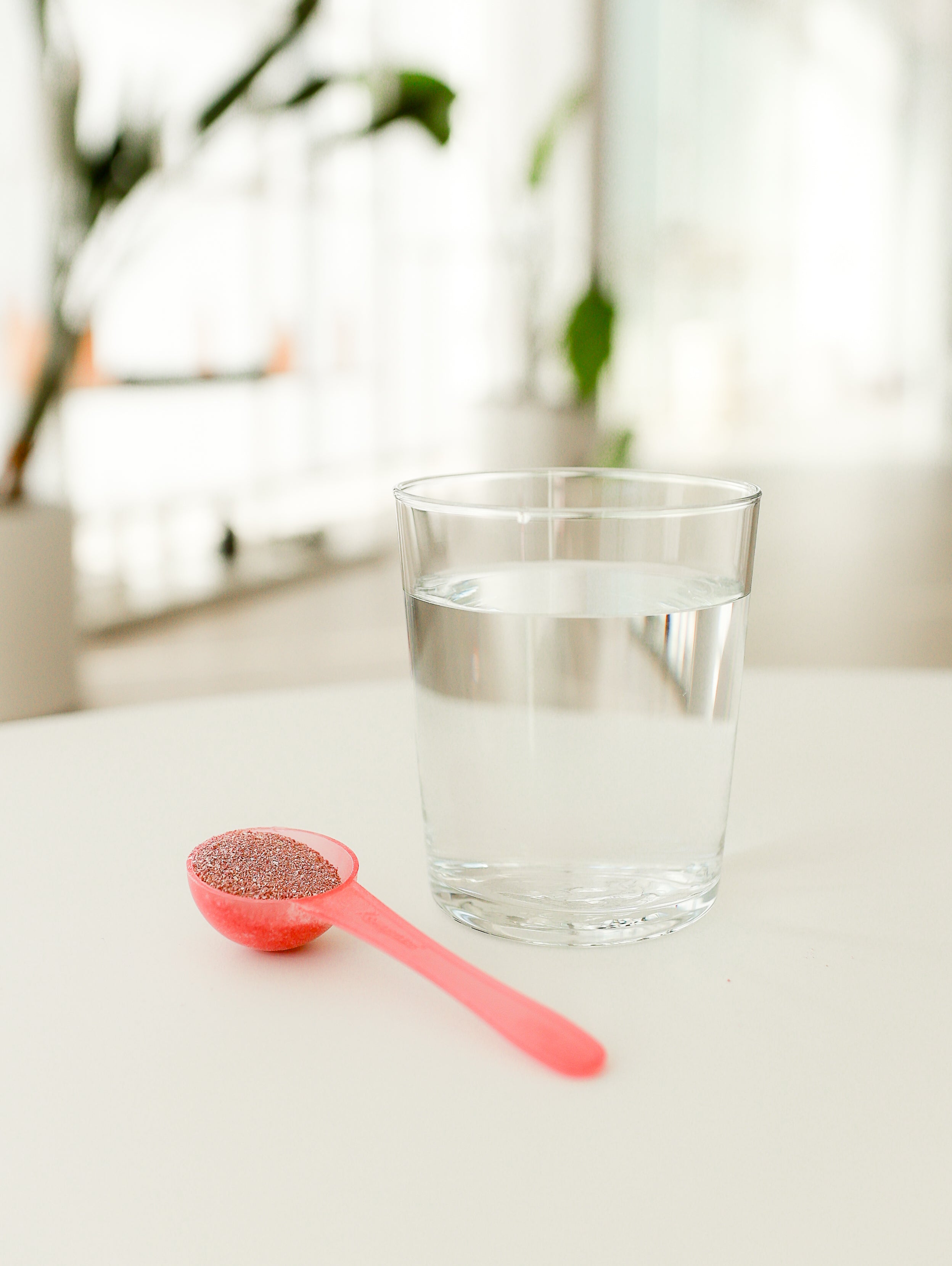 Andreina Daily Ritual food supplement - blackcurrant flavour