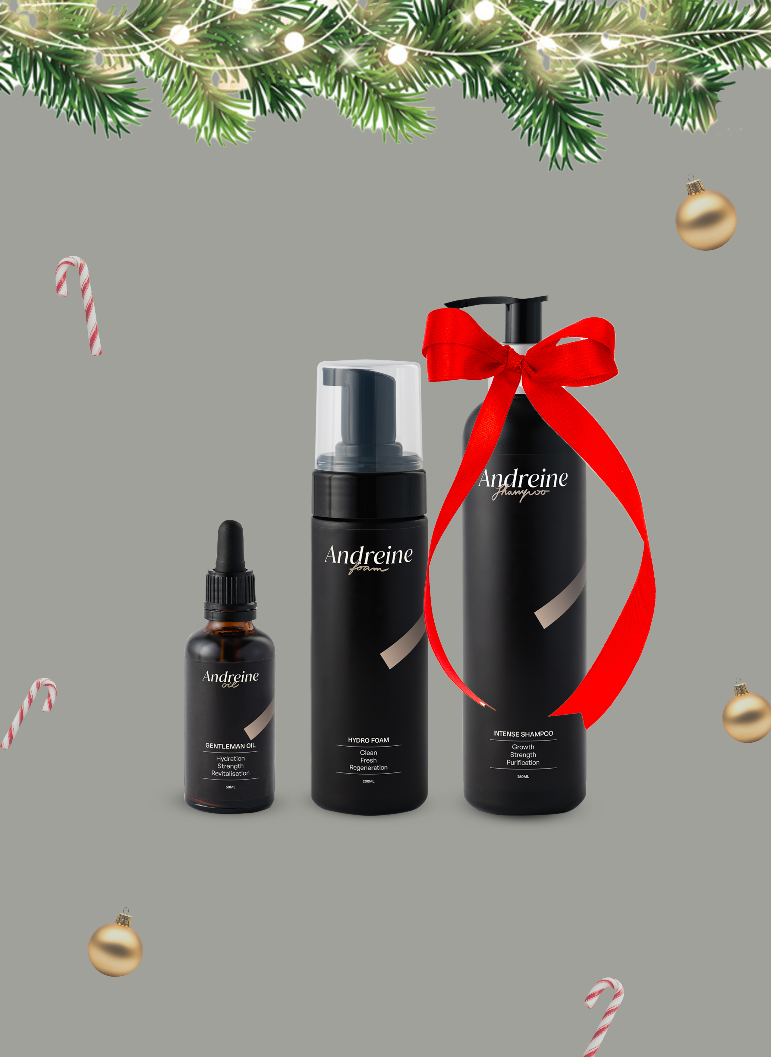 Andreine pánska sada pre rast a vitalitu vlasov